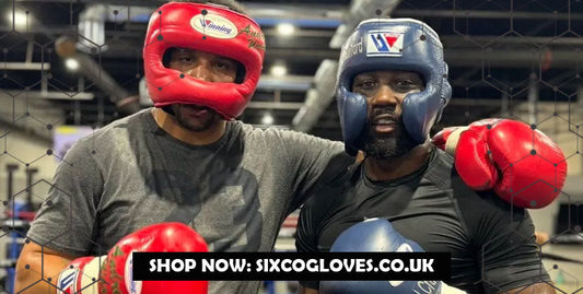 Grant boxing gloves, best boxing gloves, professional boxing gloves, buy Grant gloves, Sixco Gloves Shop, online boxing store, boxing gear, premium boxing gloves.