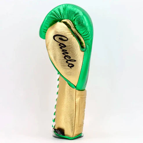 NO BOXING NO LIFE TRAINING GLOVES - Green Golden | 100% Pure Leather | Best Choice for Fighters