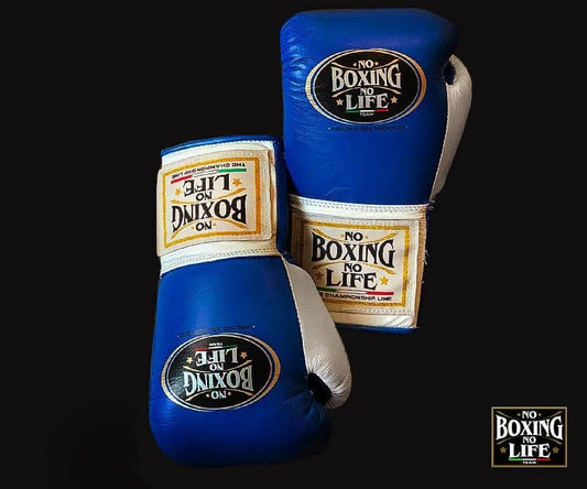 No Boxing No Life, Blue/White Boxing Gloves, Professional Training Boxing Gloves, Custom Made Boxing Gloves, Premium Quality No Boxing No Life, Available All Sizes & Colours, Gift for Him, New Year