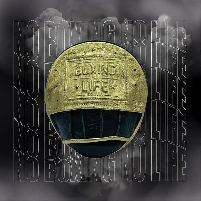 Pro No Boxing No Life Punching Mitts Soft-Padding Focus Pads