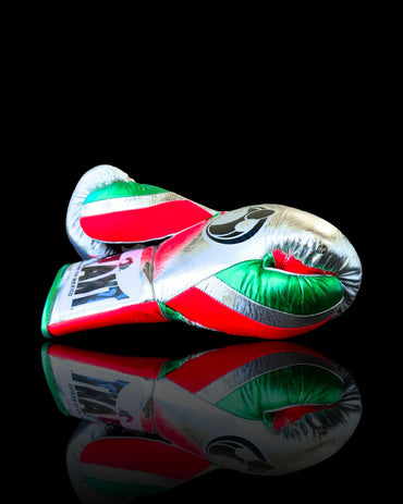 Grant Boxing Gloves | Professional Lace-up | Customizable - Premium Comfort | Silver/Red/Green