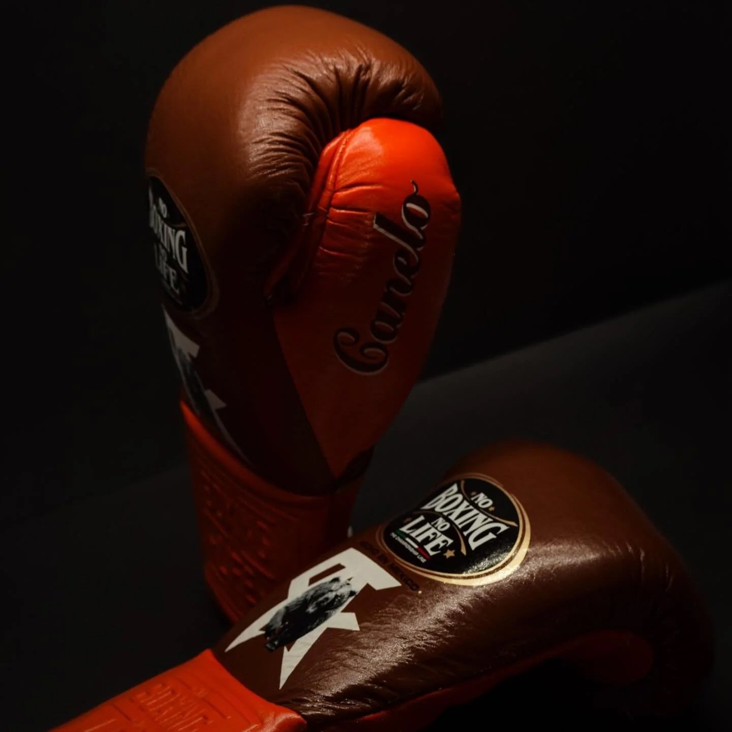 No Boxing No Life Glove - Online, NBNL Boxing Gloves, Leather Gloves Limited Edition Orange/Brown