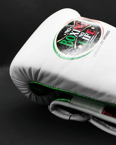 No Boxing No Life Glove - Online, NBNL Boxing Gloves, Leather Gloves Limited Edition Red/Green/White