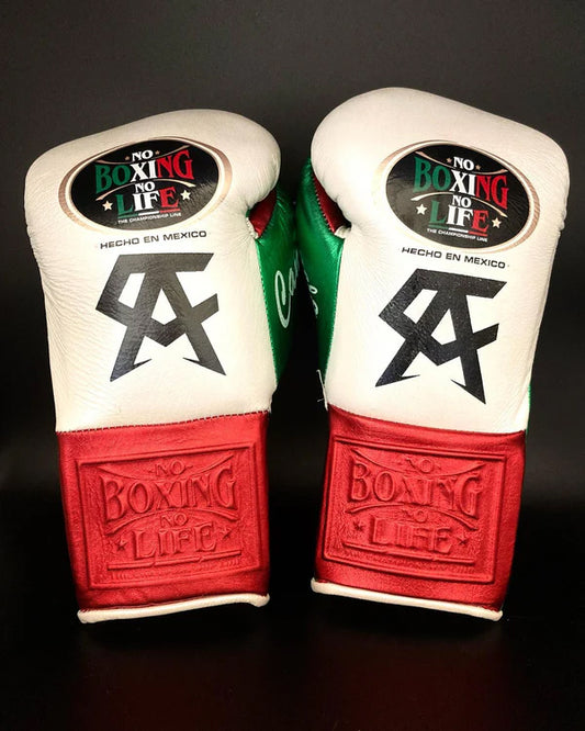 No Boxing No Life Glove - Online, NBNL Boxing Gloves, Leather Gloves Limited Edition Red/Green/White