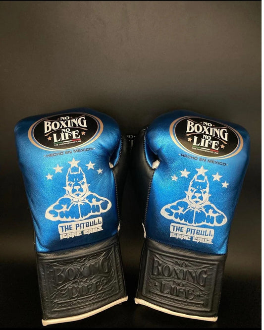 NO BOXING NO LIFE TRAINING GLOVES - Blue Black | 100% Pure Leather | Best Choice for Fighters