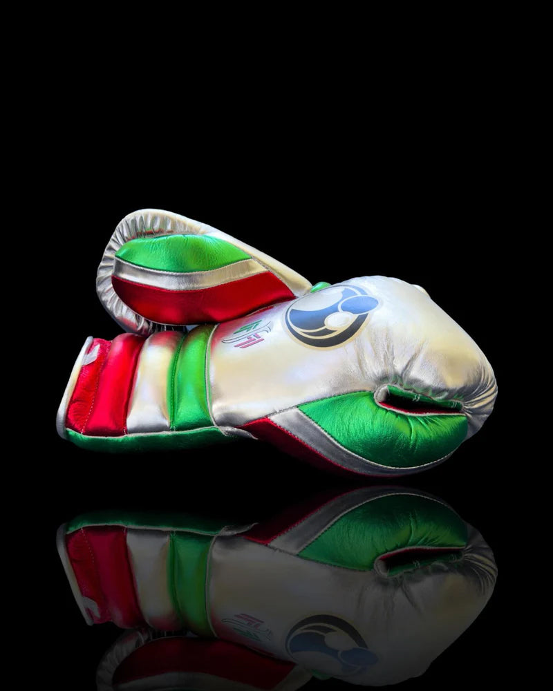 Grant Boxing Gloves | Professional Lace-up | Customizable - Premium Comfort | Silver/Red/Green