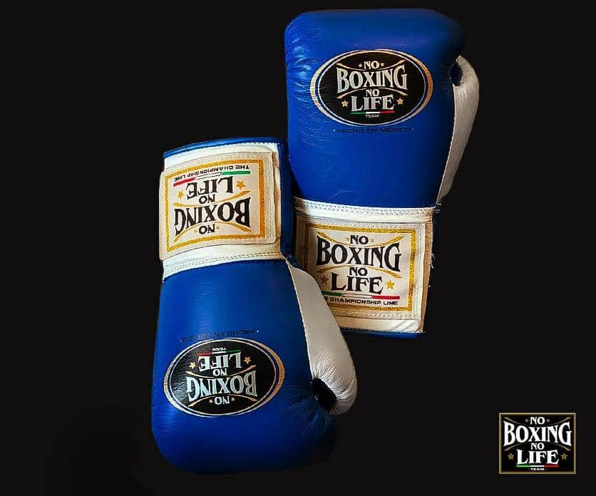 No Boxing No Life, Blue/White Boxing Gloves, Professional Training Boxing Gloves, Custom Made Boxing Gloves, Premium Quality No Boxing No Life, Available All Sizes & Colours, Gift for Him, New Year