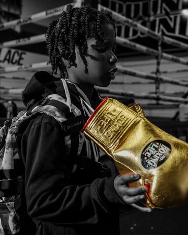 No Boxing No Life Glove - Online, NBNL Boxing Gloves, Leather Gloves Limited Edition Golden Red Piping