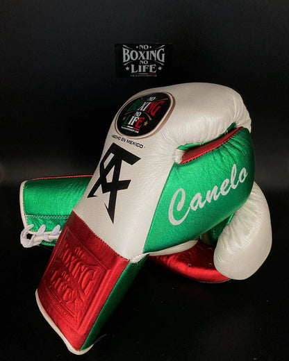 No Boxing No Life Glove - Online, NBNL Boxing Gloves, Leather Gloves Limited Edition Red/Green/White