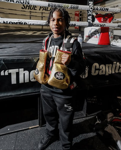 No Boxing No Life Glove - Online, NBNL Boxing Gloves, Leather Gloves Limited Edition Golden Red Piping