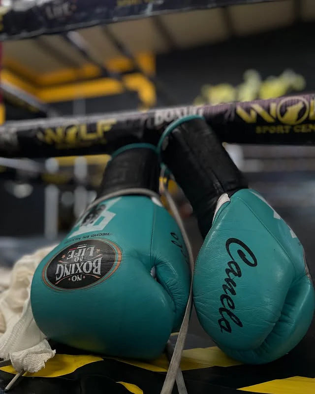 No Boxing No Life Glove - Online, NBNL Boxing Gloves, Leather Gloves Limited Edition Skyblue Black