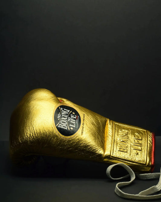 No Boxing No Life Glove - Online, NBNL Boxing Gloves, Leather Gloves Limited Edition Golden Red Piping