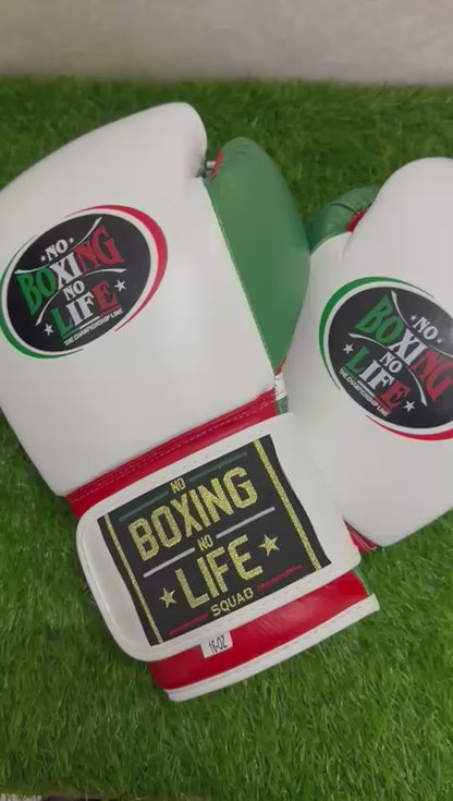 No Boxing No Life, Custom Made Boxing Gloves, Premium Quality No Boxing No Life, Available All Sizes & Colours, Gift for Him, New Year