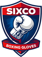 sixco gloves, professional boxing gloves